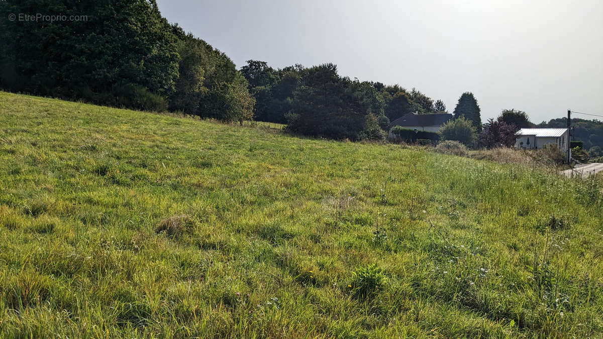 Terrain à LE CHASTANG