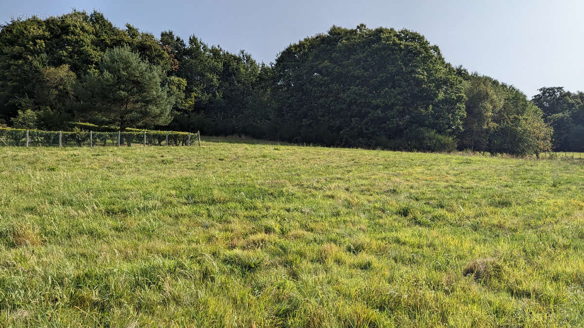 Terrain à LE CHASTANG