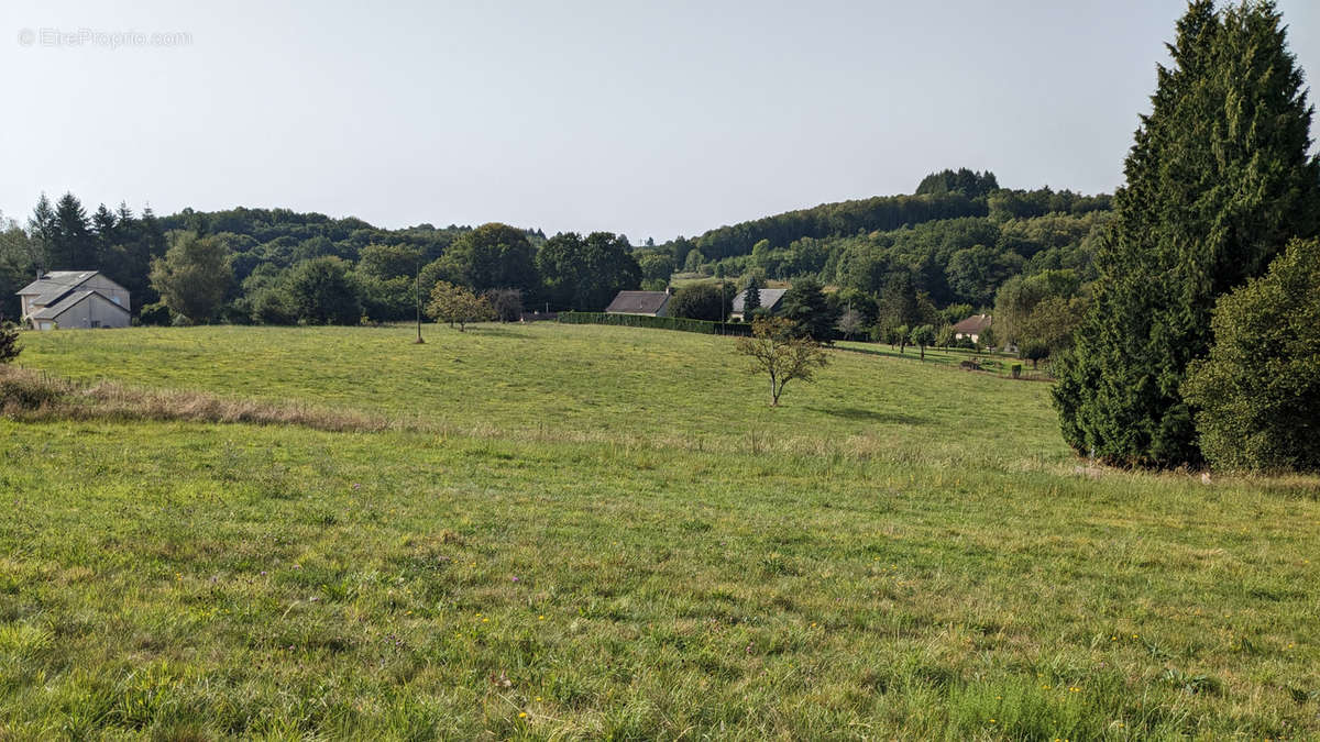 Terrain à LE CHASTANG