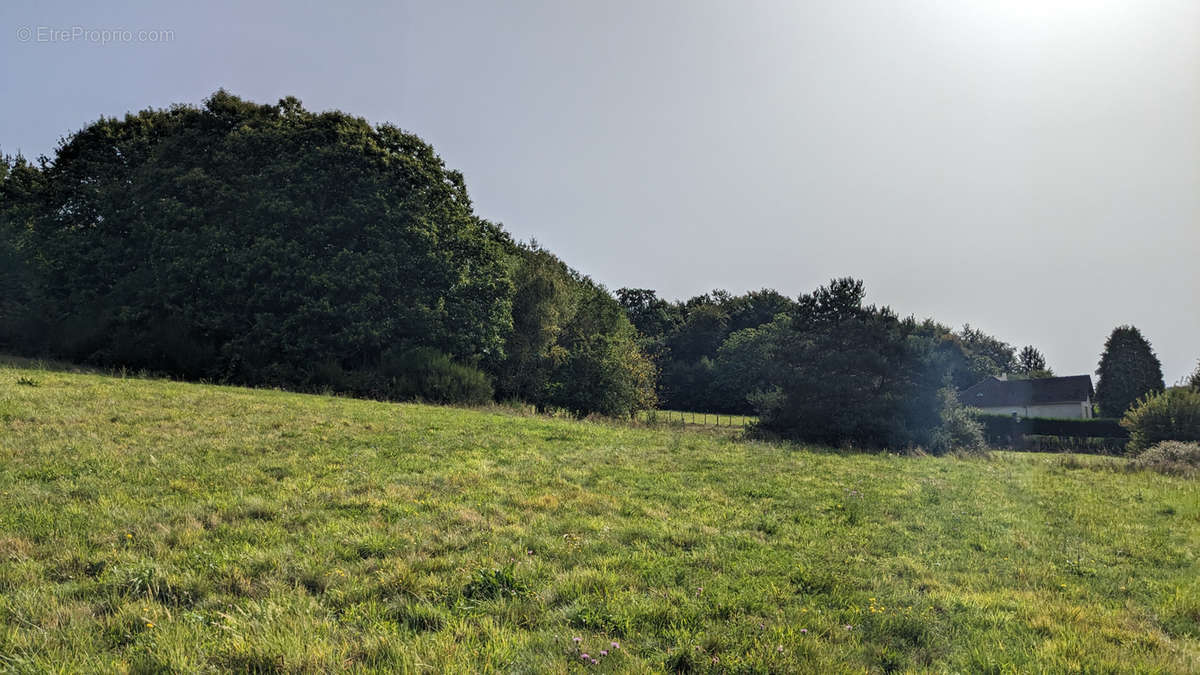 Terrain à LE CHASTANG