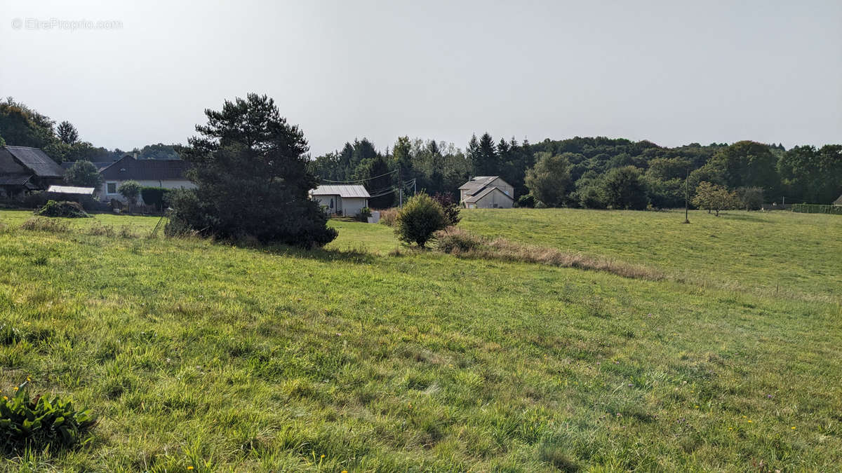 Terrain à LE CHASTANG