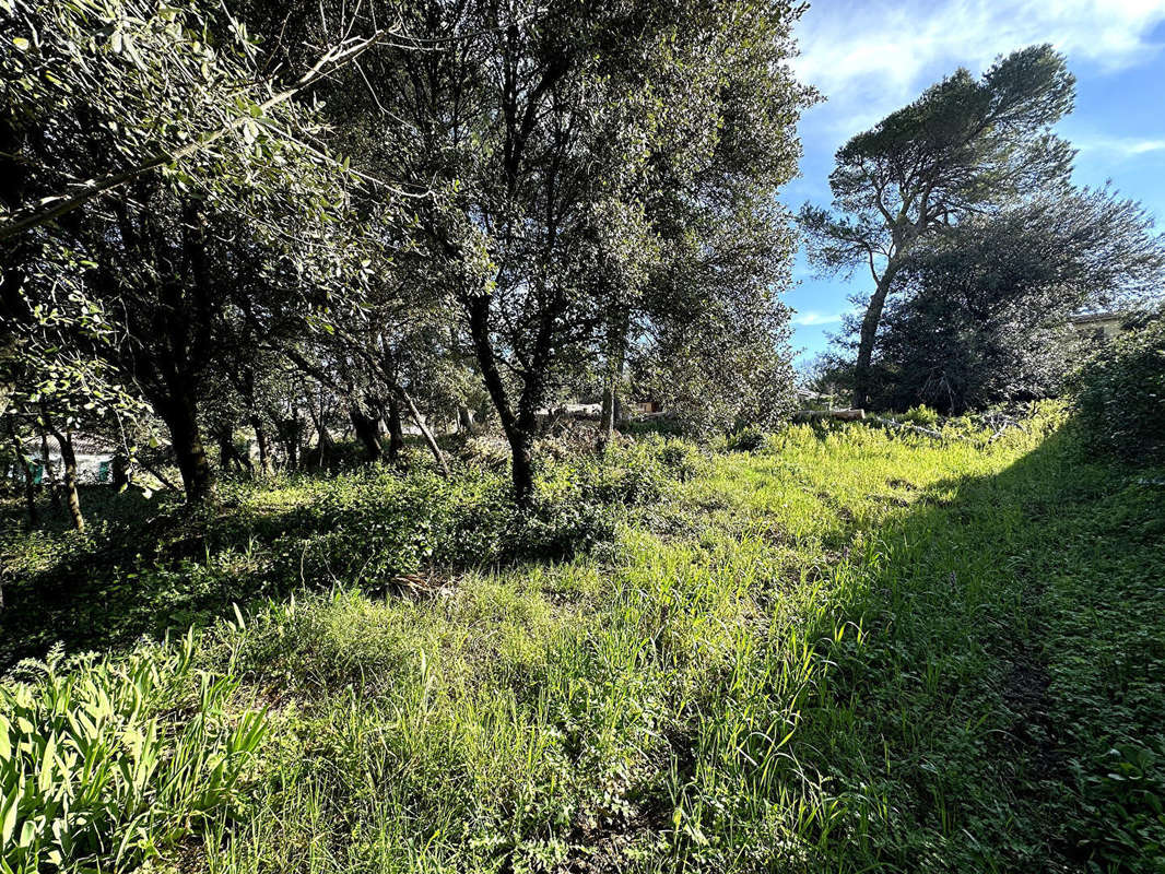 Terrain à BAGNOLS-SUR-CEZE