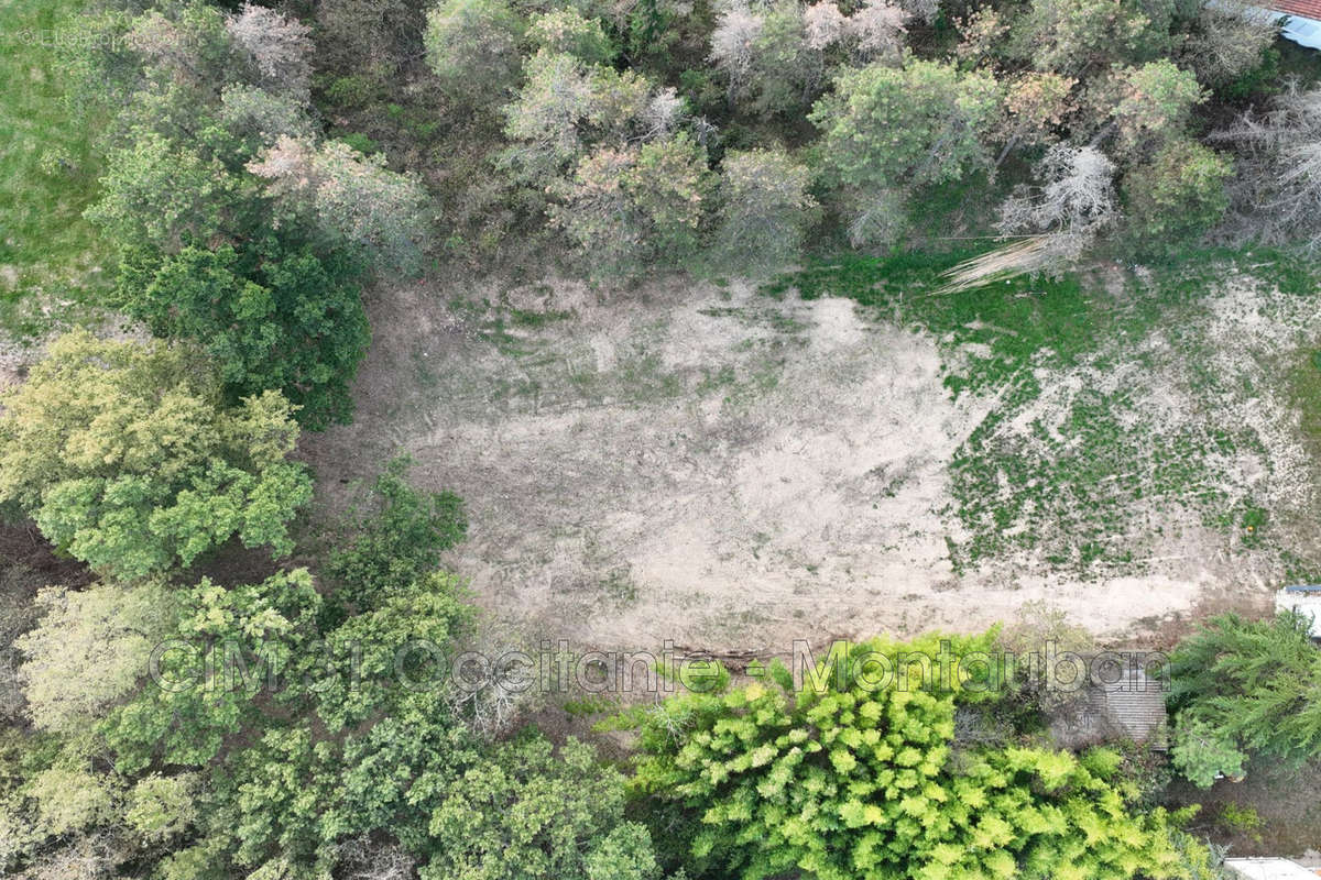 Terrain à MONTAUBAN