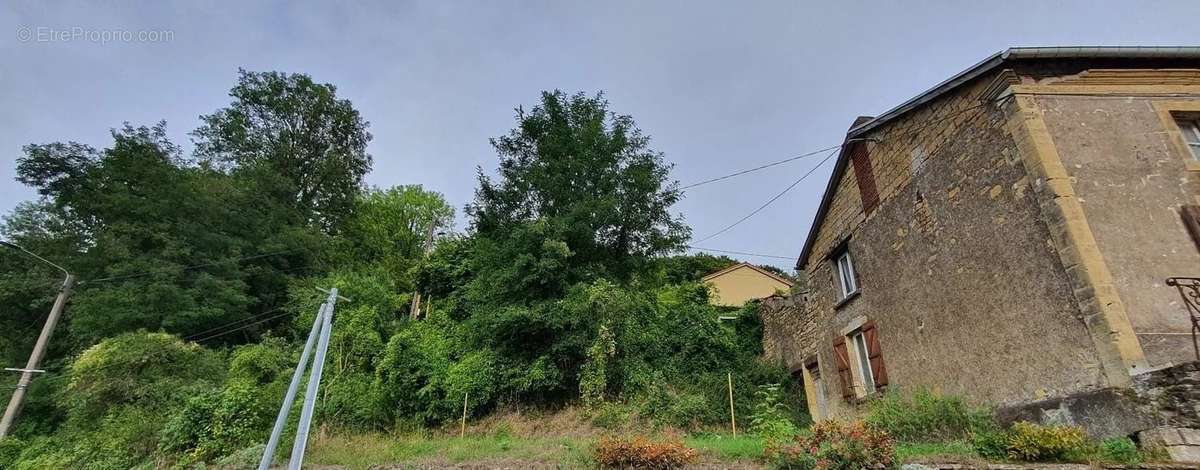 Maison à LONGUYON