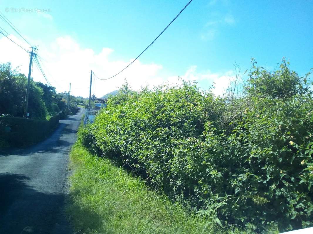 Terrain à SAINT-PIERRE