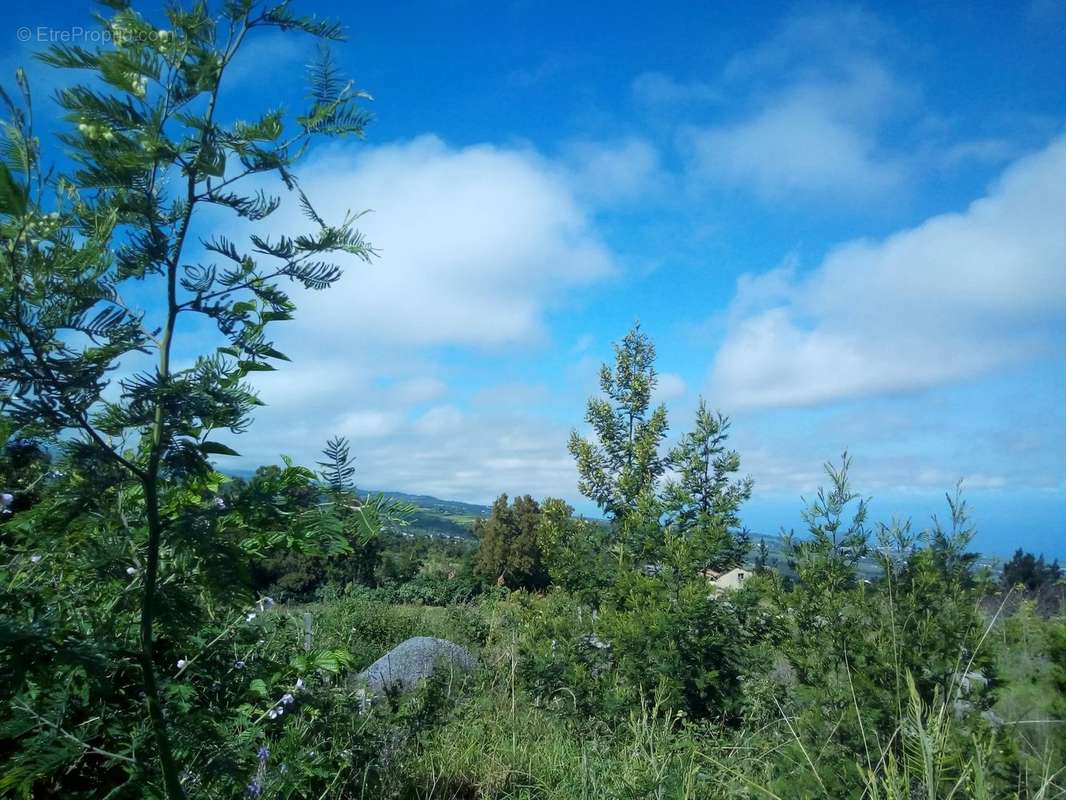 Terrain à SAINT-PIERRE