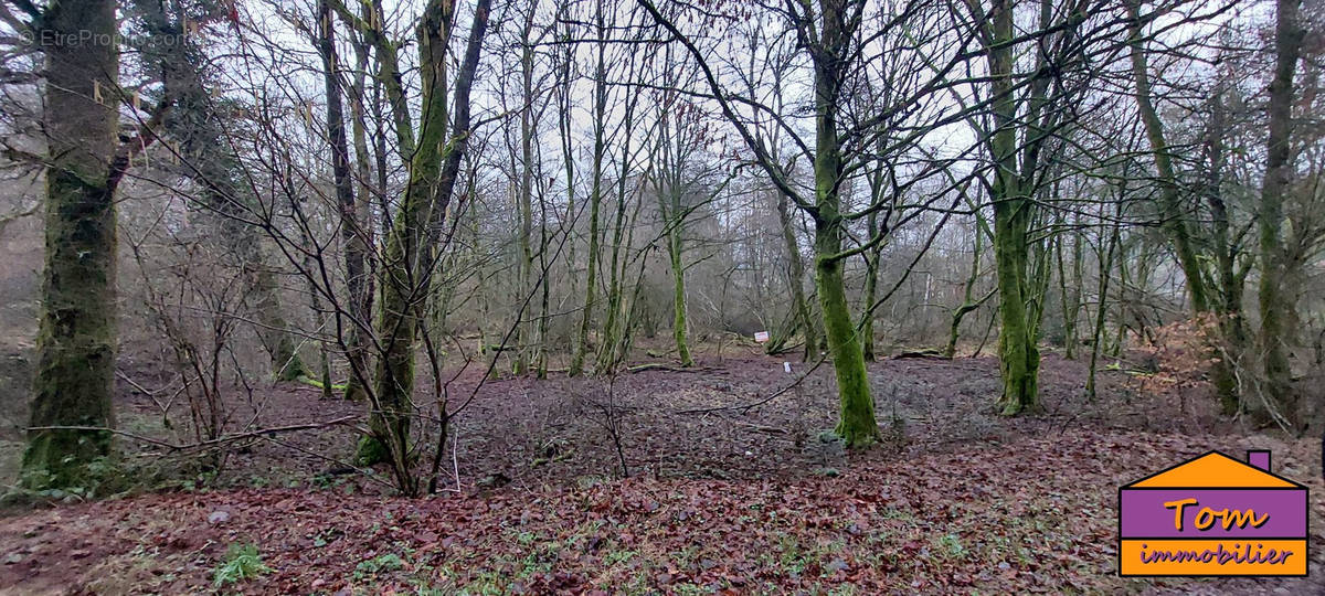 Terrain à CHAMPAGNEY