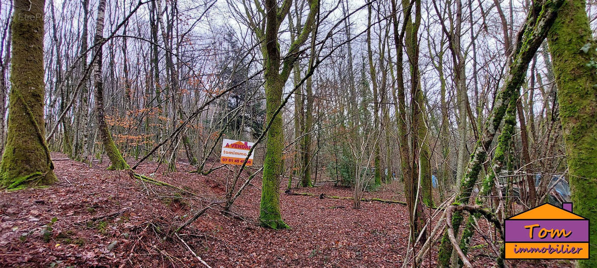 Terrain à CHAMPAGNEY