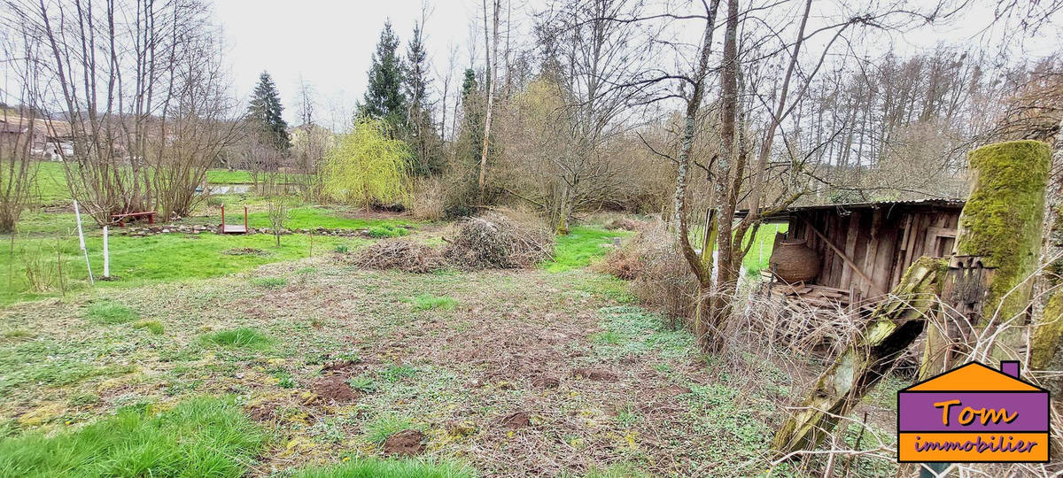 Terrain à AILLEVILLERS-ET-LYAUMONT