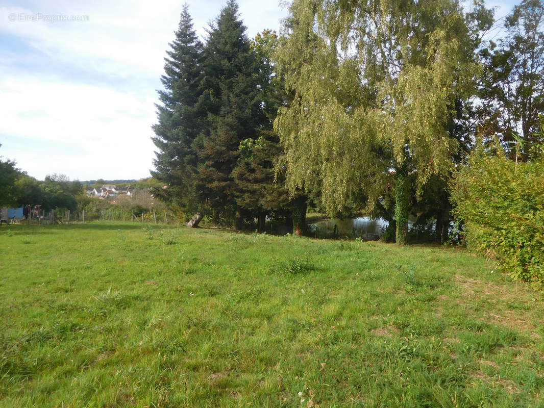 Terrain à SAINT-YRIEIX-LA-PERCHE