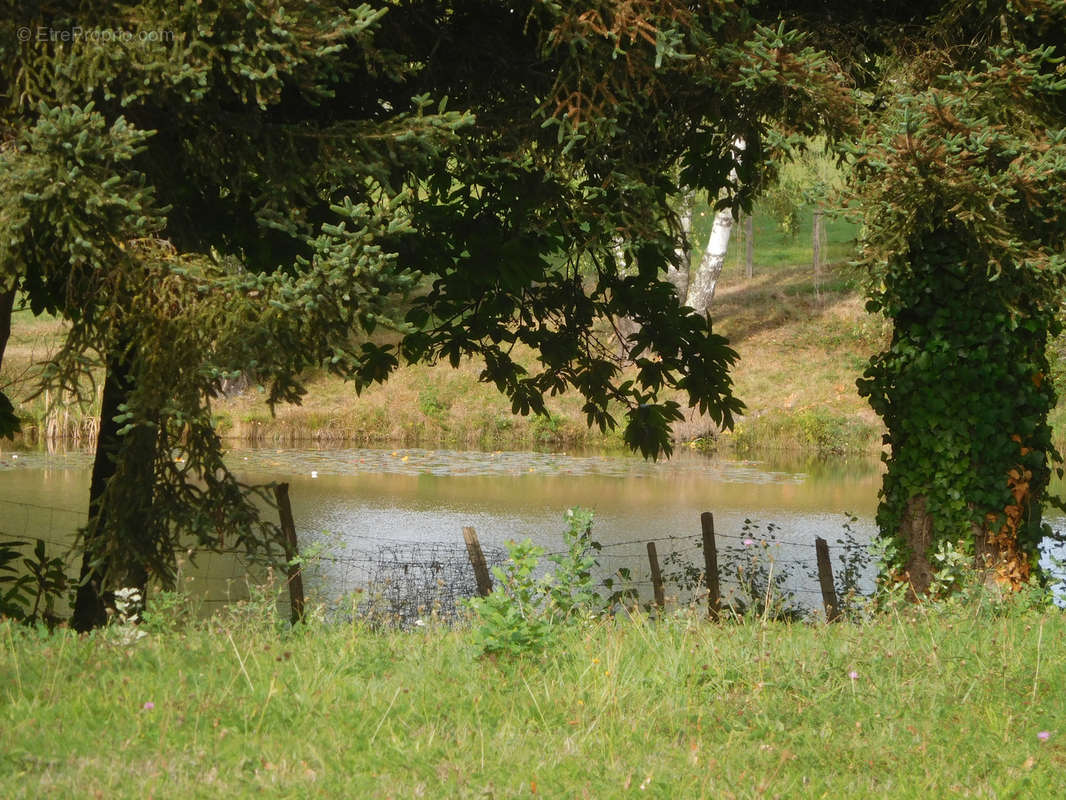 Terrain à SAINT-YRIEIX-LA-PERCHE