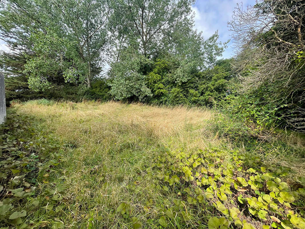 Terrain à MORLAIX