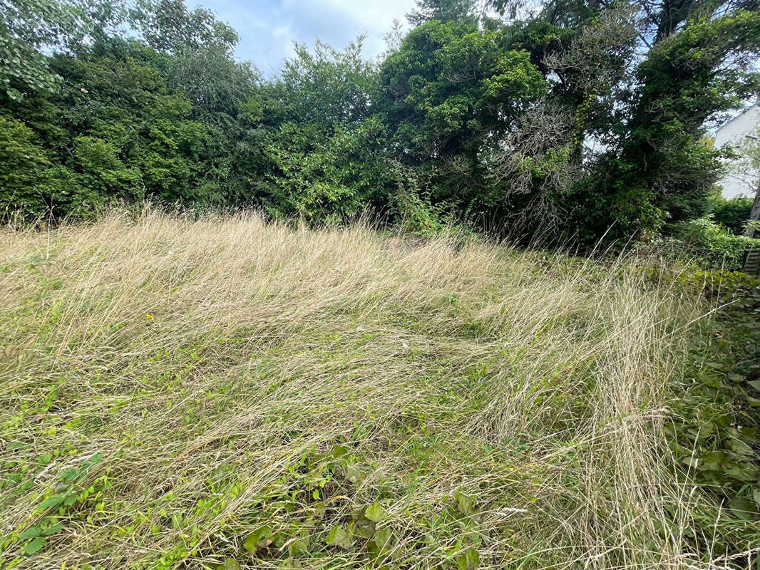 Terrain à MORLAIX