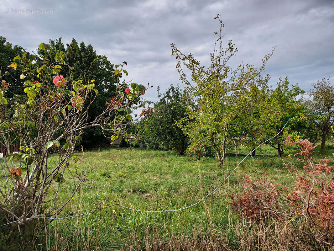 Terrain à PLOUGONVEN