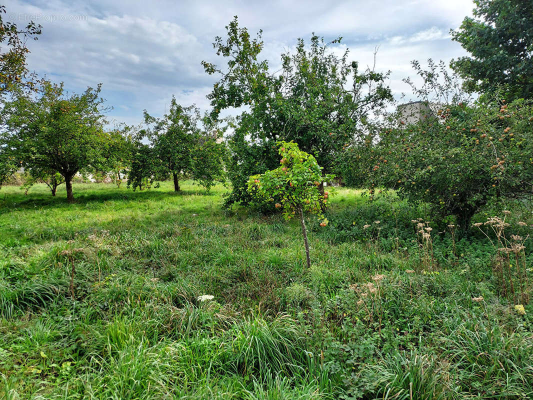 Terrain à PLOUGONVEN