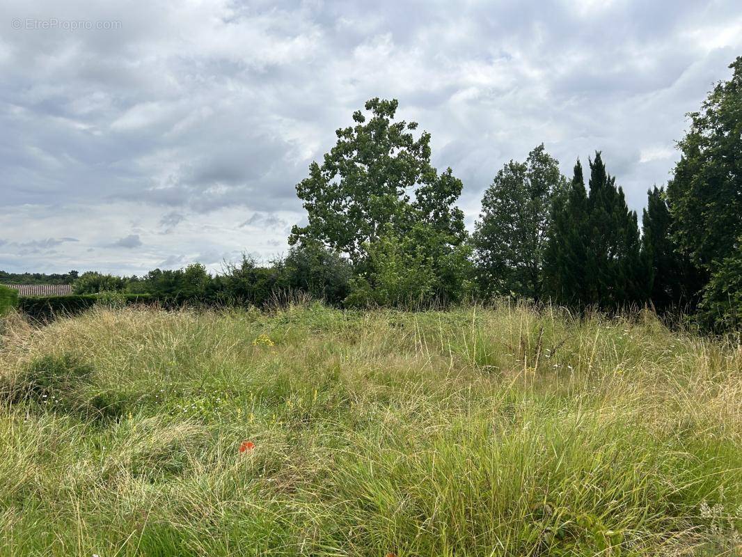 Terrain à MONTAUBAN