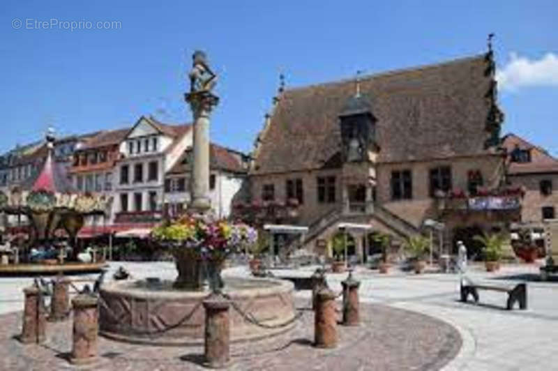 Commerce à OBERNAI