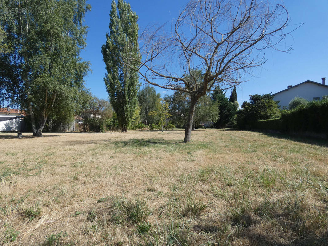 Terrain à SAINT-GAUDENS