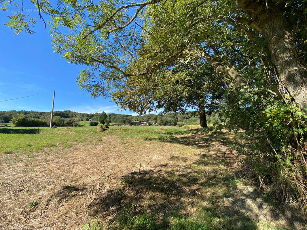 Terrain à MORLAAS