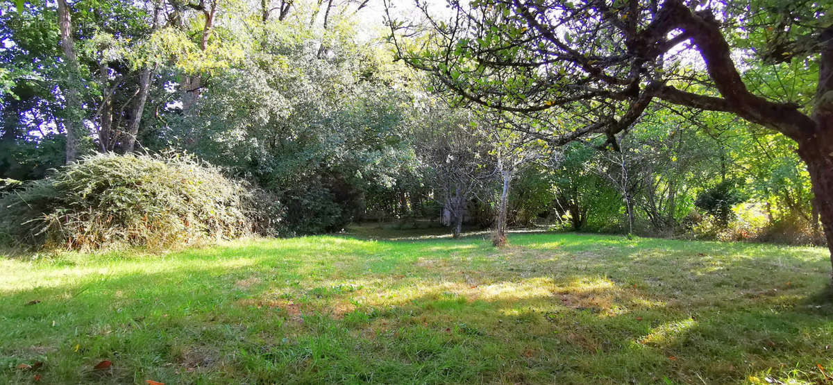 Terrain à ORCHAMPS