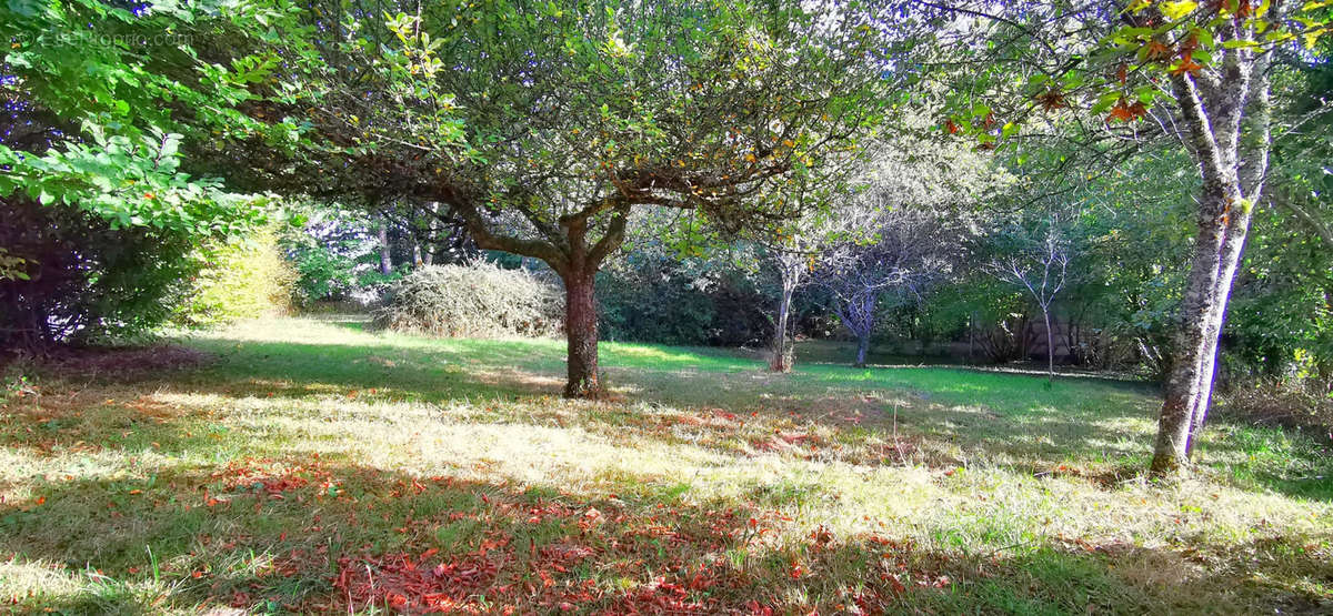 Terrain à ORCHAMPS