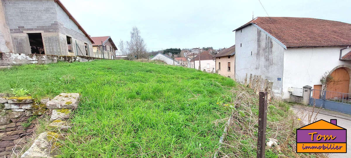 Terrain à AILLEVILLERS-ET-LYAUMONT