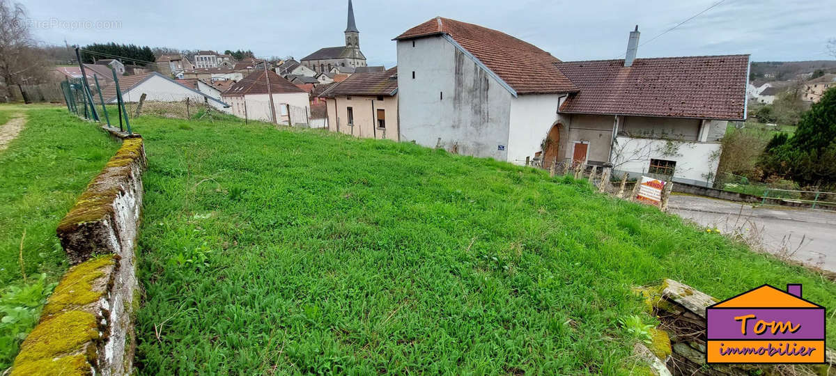 Terrain à AILLEVILLERS-ET-LYAUMONT