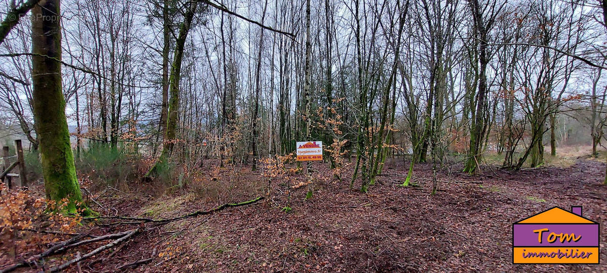 Terrain à CHAMPAGNEY