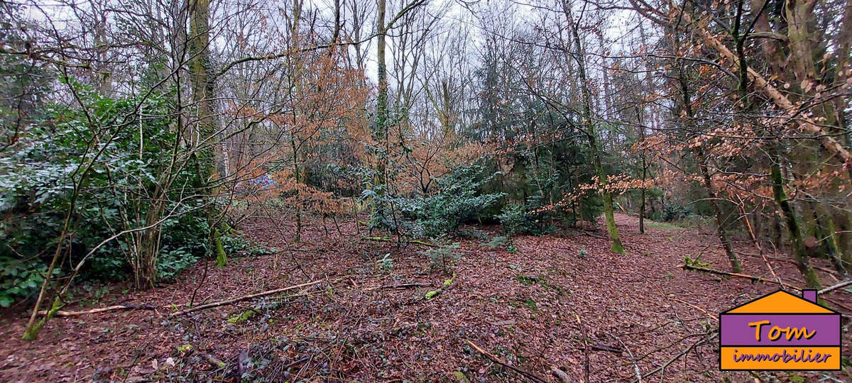 Terrain à CHAMPAGNEY