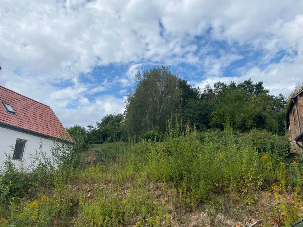 Terrain à NIEDERBRONN-LES-BAINS