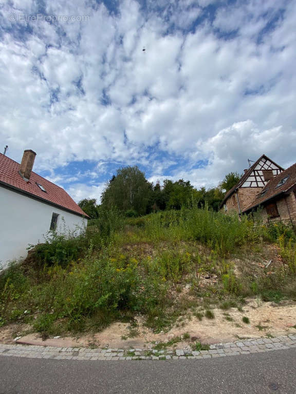 Terrain à NIEDERBRONN-LES-BAINS