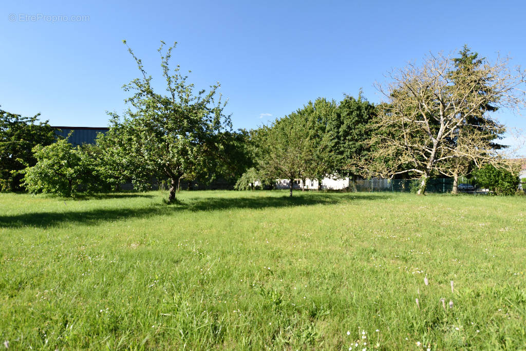 Terrain à CHALONS-EN-CHAMPAGNE