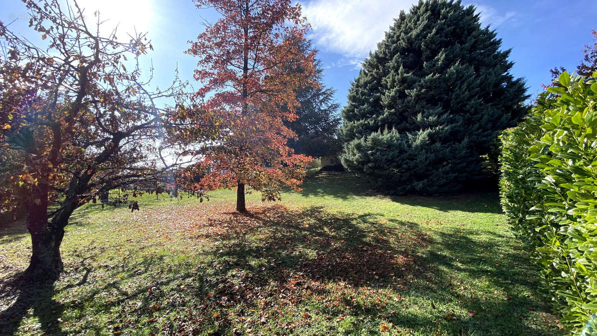 Terrain à SAINT-CYR-SUR-LE-RHONE