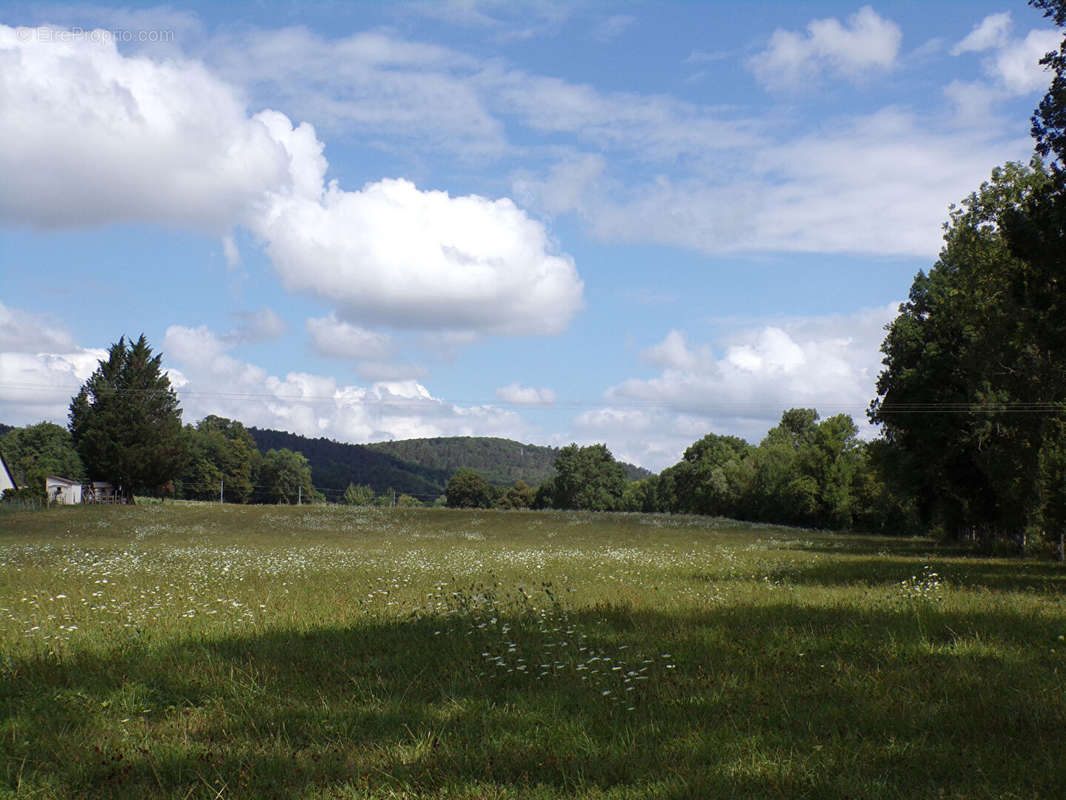 Terrain à VILLEREVERSURE