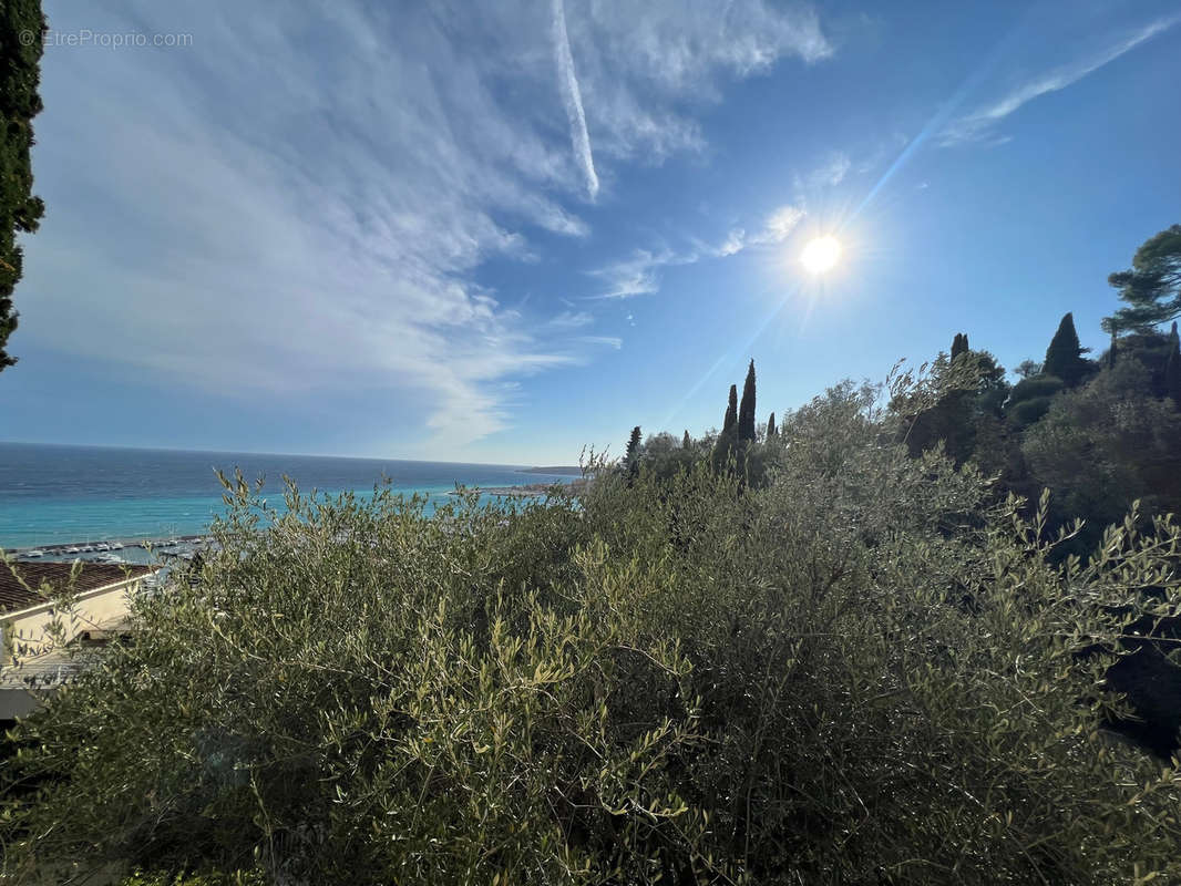 Maison à MENTON