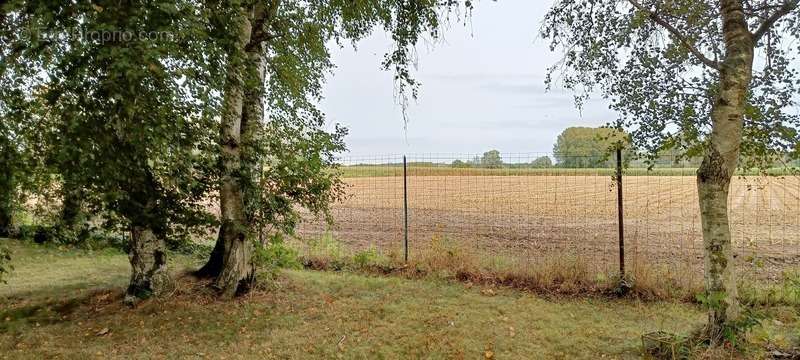 Terrain à SAINT-AMAND-LES-EAUX