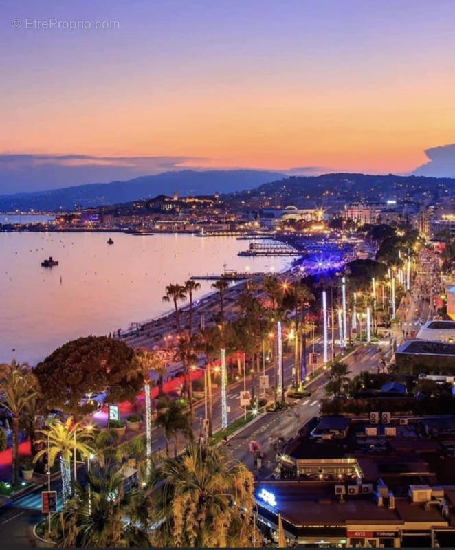 Commerce à CANNES