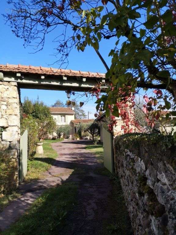 Maison à BALESTA