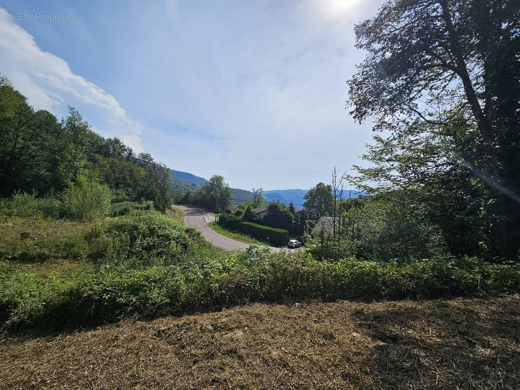 Terrain à SAINT-CLAUDE