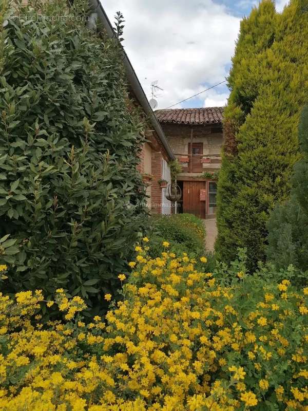 Maison à ALBI