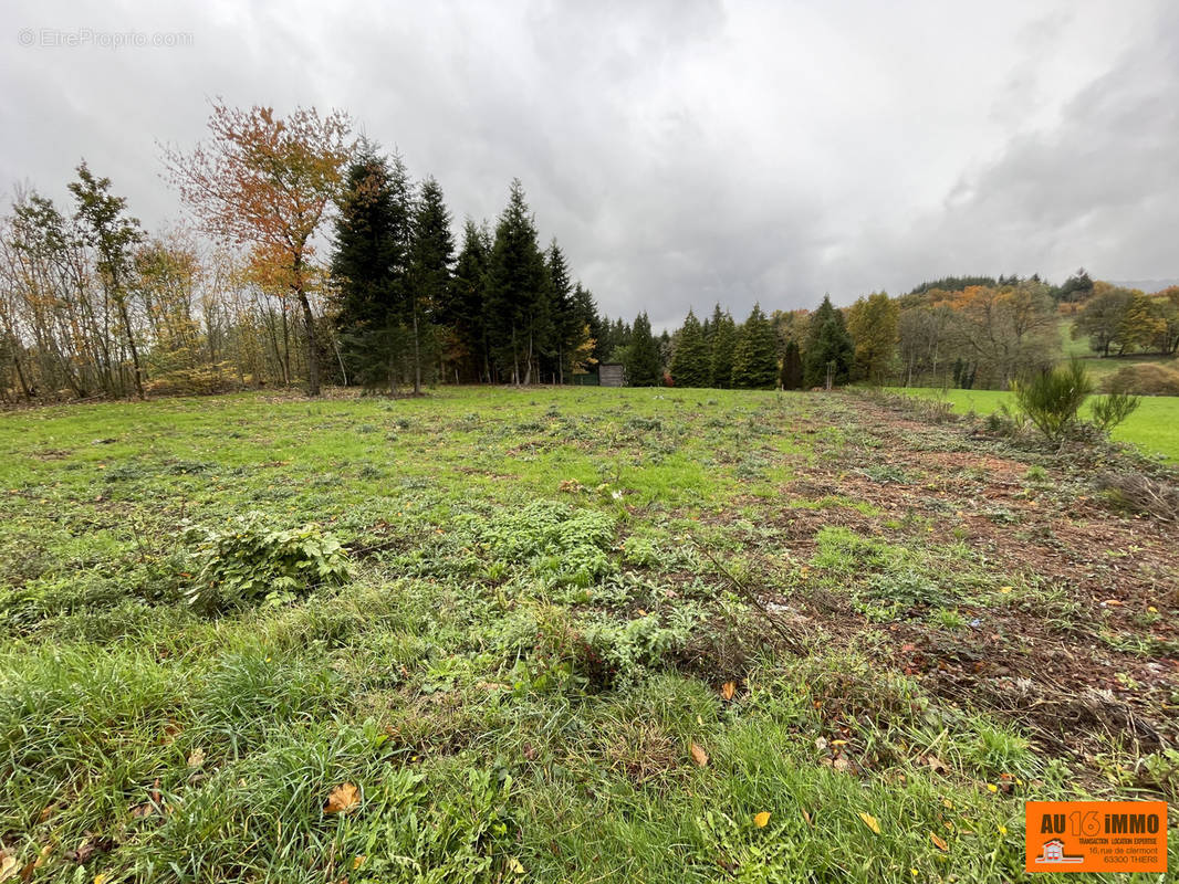 Terrain à CELLES-SUR-DUROLLE