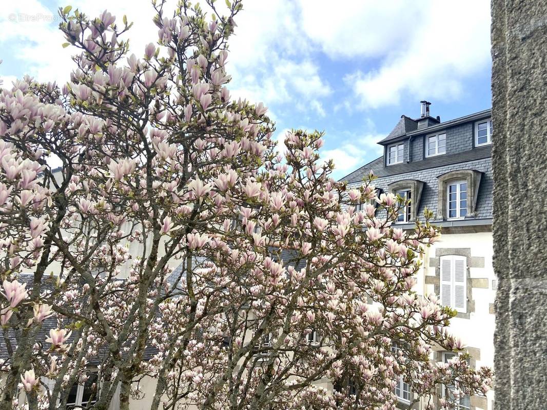 Appartement à QUIMPER