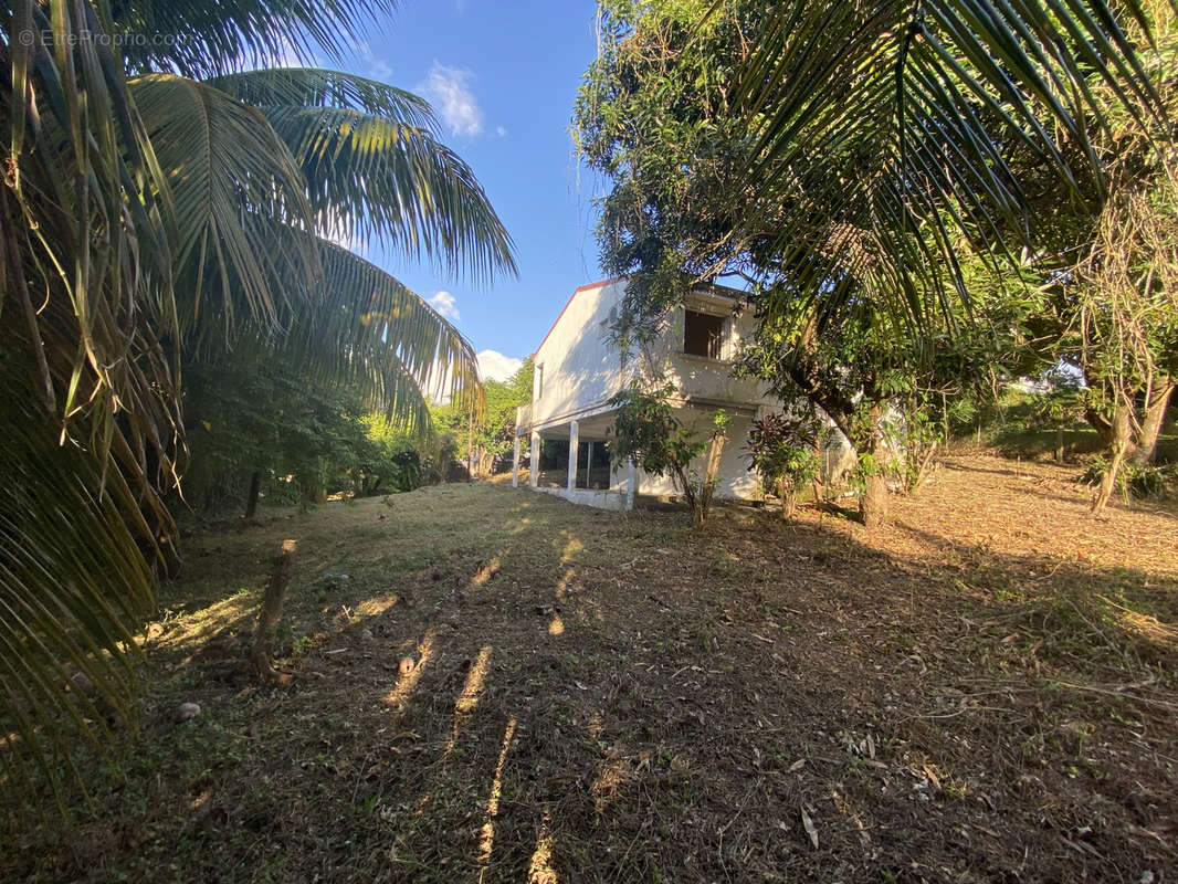 Maison à BASSE-TERRE