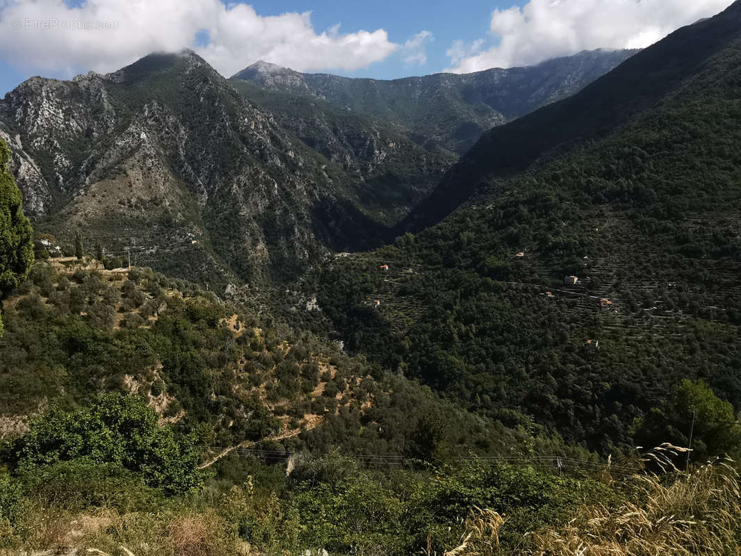 Terrain à BREIL-SUR-ROYA