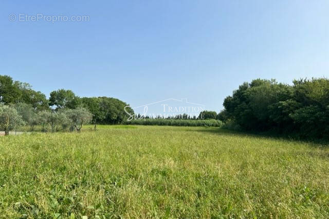 Terrain à SAINT-MARTIN-DE-CRAU