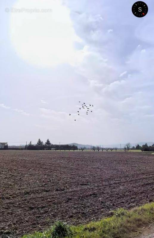 Terrain à GRANGES-LES-BEAUMONT