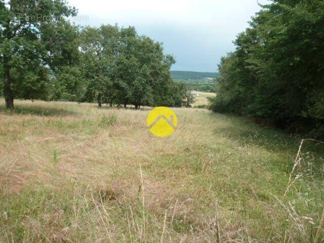 Terrain à SAINT-AMAND-MONTROND