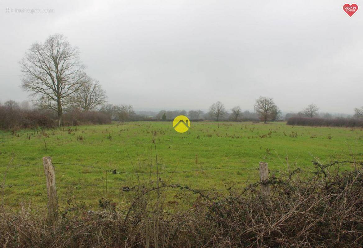 Terrain à BOURBON-L&#039;ARCHAMBAULT