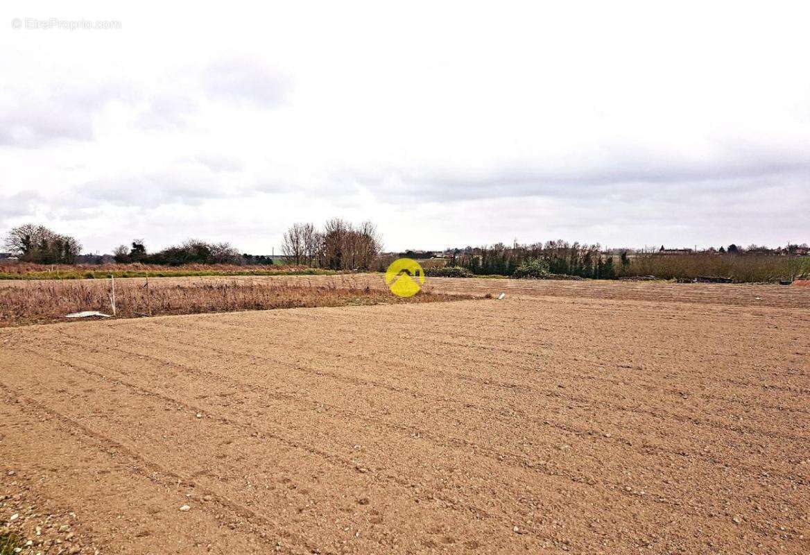 Terrain à LOUDUN