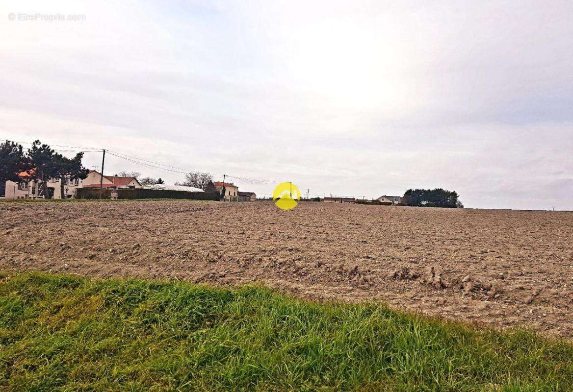 Terrain à LOUDUN